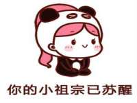 上海草藤信息科技有限公司