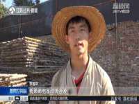 上海草藤信息科技有限公司