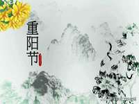 上海草藤信息科技有限公司