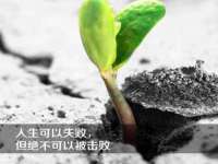 上海草藤信息科技有限公司