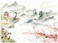 上海草藤信息科技有限公司