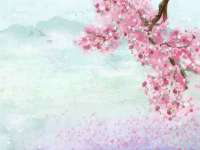 上海草藤信息科技有限公司