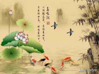 上海草藤信息科技有限公司