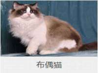 上海草藤信息科技有限公司