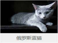 上海草藤信息科技有限公司