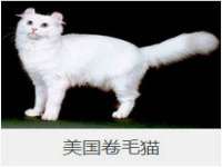 上海草藤信息科技有限公司