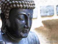 上海草藤信息科技有限公司