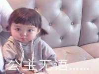 上海草藤信息科技有限公司