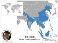 上海草藤信息科技有限公司