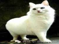 上海草藤信息科技有限公司