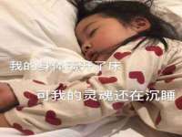上海草藤信息科技有限公司