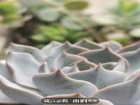 上海草藤信息科技有限公司