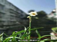 上海草藤信息科技有限公司