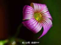 上海草藤信息科技有限公司