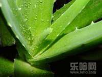 上海草藤信息科技有限公司