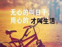 上海草藤信息科技有限公司