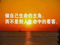 上海草藤信息科技有限公司
