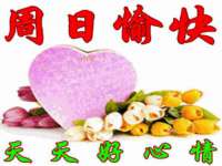 上海草藤信息科技有限公司