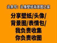 上海草藤信息科技有限公司