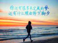 上海草藤信息科技有限公司