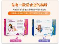 上海草藤信息科技有限公司