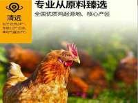 上海草藤信息科技有限公司