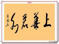 上海草藤信息科技有限公司