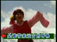 上海草藤信息科技有限公司