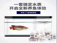 上海草藤信息科技有限公司