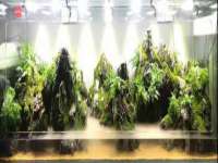 上海草藤信息科技有限公司
