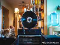 上海草藤信息科技有限公司