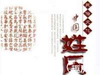 上海草藤信息科技有限公司