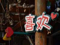上海草藤信息科技有限公司