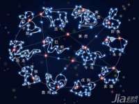 上海草藤信息科技有限公司