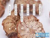 上海草藤信息科技有限公司