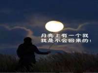 上海草藤信息科技有限公司