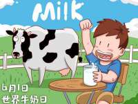 上海草藤信息科技有限公司