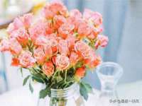 上海草藤信息科技有限公司