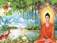上海草藤信息科技有限公司