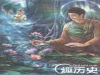上海草藤信息科技有限公司