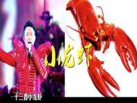 上海草藤信息科技有限公司