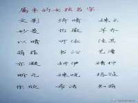 上海草藤信息科技有限公司